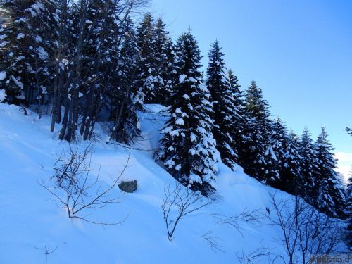 20180212-c-mondoleski-455.jpg