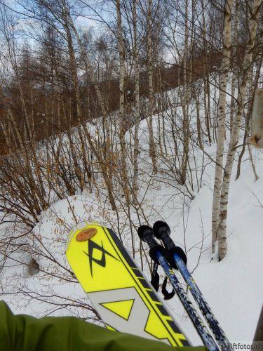 20180212-c-mondoleski-728.jpg