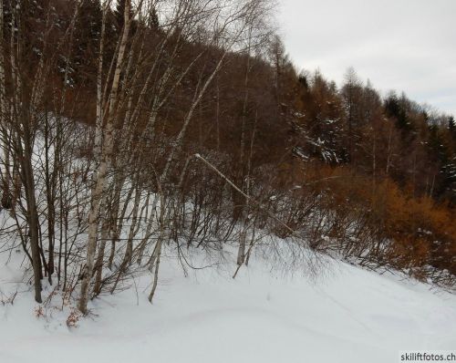 20180212-c-mondoleski-740.jpg