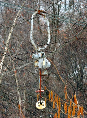 20180212-c-mondoleski-841.jpg