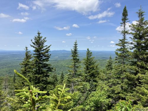 Mont Sutton, 10. Juli 2022
