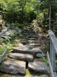 20220710-f-mont-sutton-009.jpg