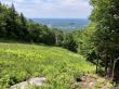 20220710-f-mont-sutton-011.jpg