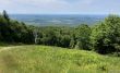 20220710-f-mont-sutton-013.jpg