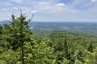 20220710-f-mont-sutton-015.jpg