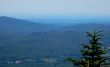 20220710-g-mont-sutton-004.jpg