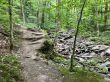 20220711-a-sutton-019.jpg