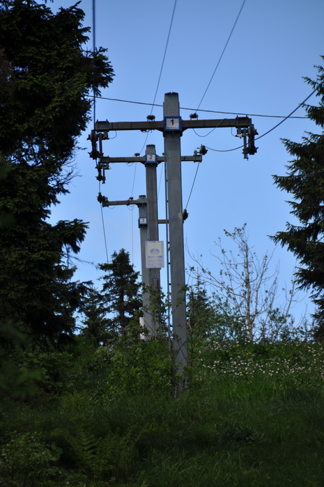 Tryvann, Oslo Vinterpark, Juni 2013
