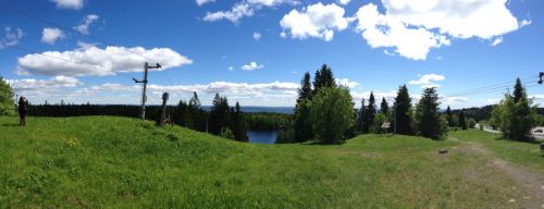 Tryann, Oslo Vinterpark, Juni 2013
