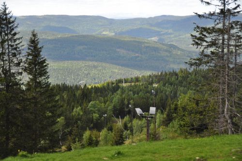 Oslo Vinterpark, Juni 2013
