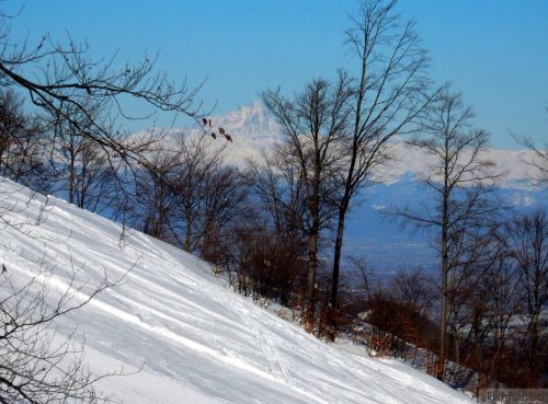 20180213-b-sangiacomo-022.jpg