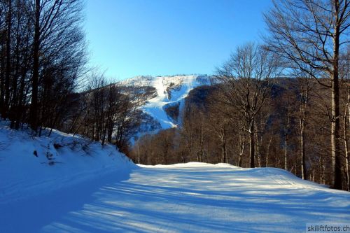 20180213-b-sangiacomo-030.jpg