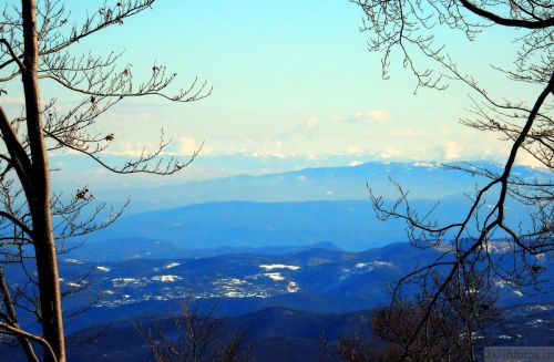 20180213-b-sangiacomo-078.jpg
