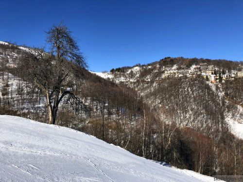20180213-b-sangiacomo-170.jpg
