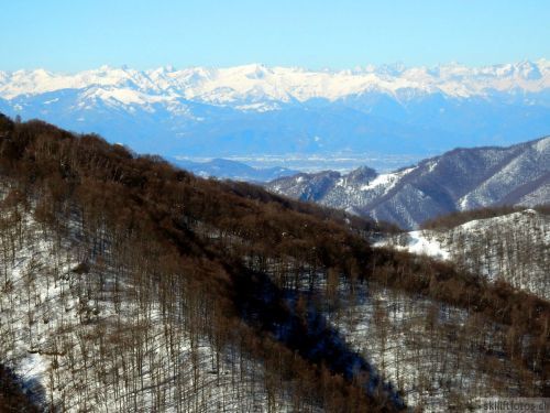 20180213-b-sangiacomo-236.jpg