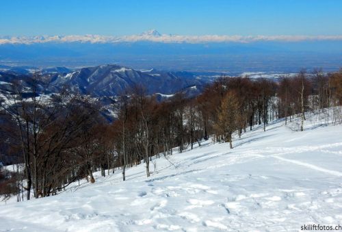 20180213-b-sangiacomo-269.jpg