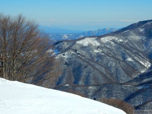 20180213-b-sangiacomo-273.jpg