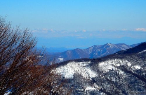 20180213-b-sangiacomo-288.jpg