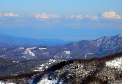 20180213-b-sangiacomo-310.jpg