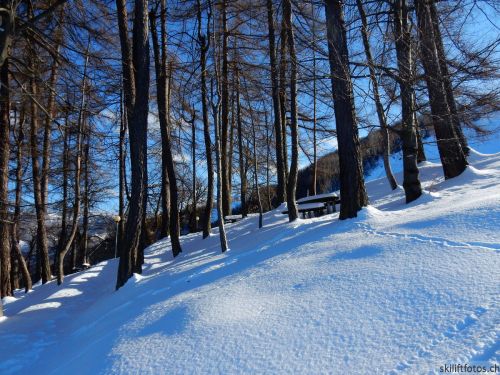 20180213-b-sangiacomo-374.jpg