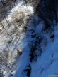 Dateiname=20180213-b-sangiacomo-325.jpg
Dateigröße=437KB
Abmessungen: 900x1200
hinzugefügt am: 19. Februar 2018 20180213-b-sangiacomo-325.jpg