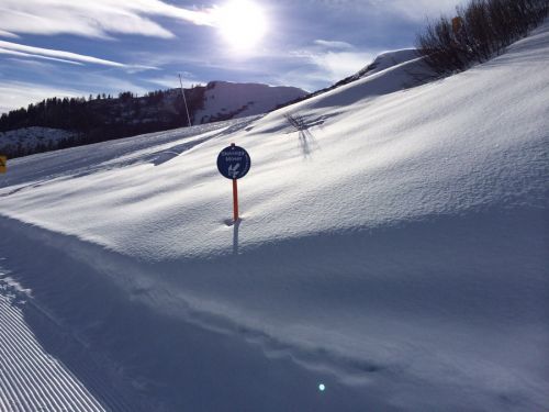 29. Januar 2014
