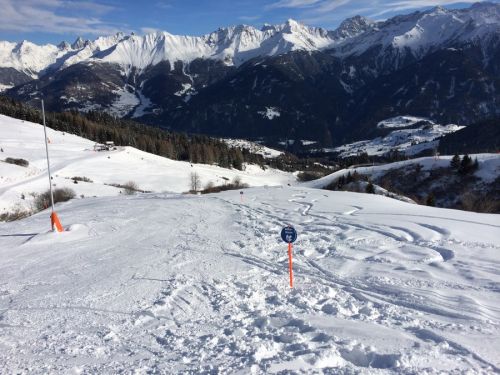 29. Januar 2014
