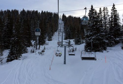 29. Januar 2014

