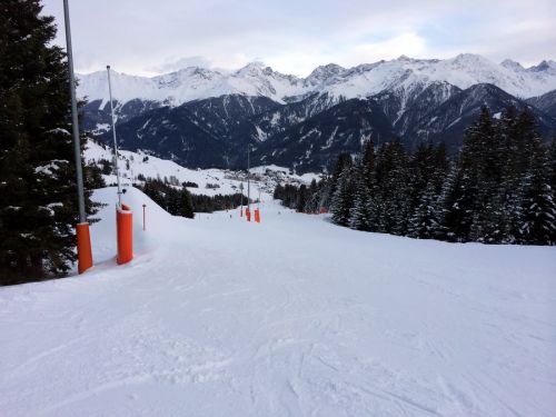 29. Januar 2014
