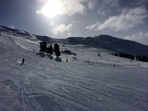 31. Januar 2014
