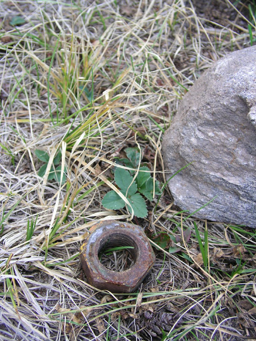 Spuren im Gras
