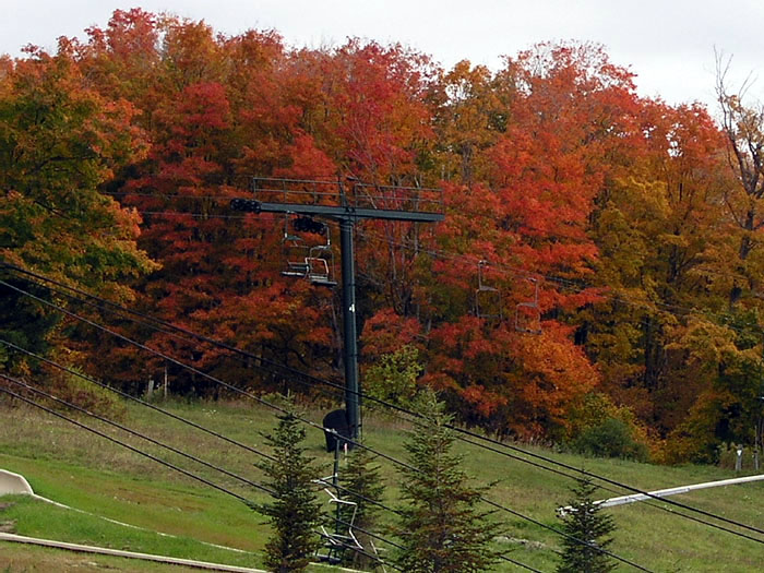 200410-vermont-512.jpg