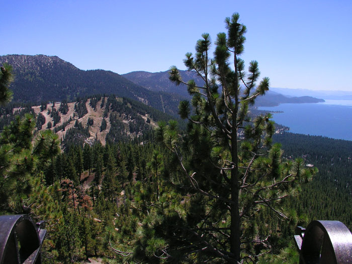 Skigebiet Mt Rose am Lake Tahoe, Nevada (August 2006)
