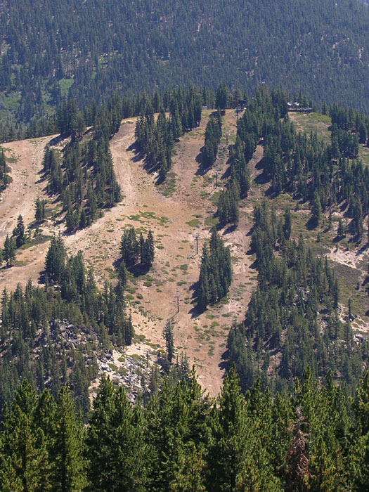 Skigebiet Mt Rose am Lake Tahoe, Nevada (August 2006)

