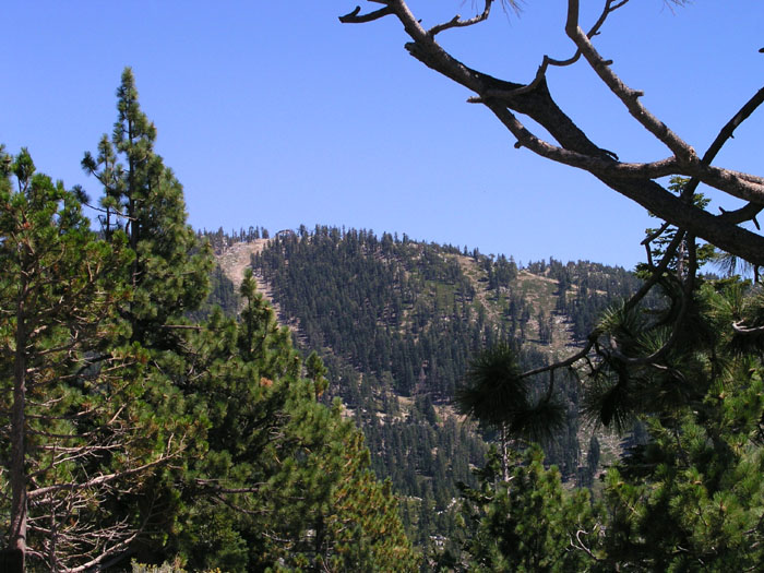 Skigebiet Mt Rose am Lake Tahoe, Nevada (August 2006)
