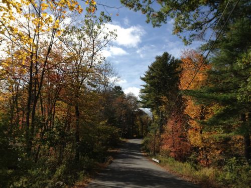 Schöne Herbsteindrücke in New England
