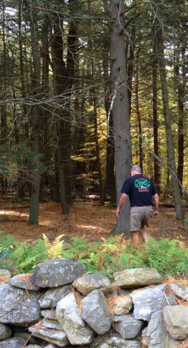 Schliesslich landen wir an der nächsten per Auto erreichbaren Stelle und fragen einen Anwohner um Hilfe, uns freundlich empfängt und sich als Dave vorstellt. Er führt uns in den Wald (und warnt uns vor Bären und Koyoten).
