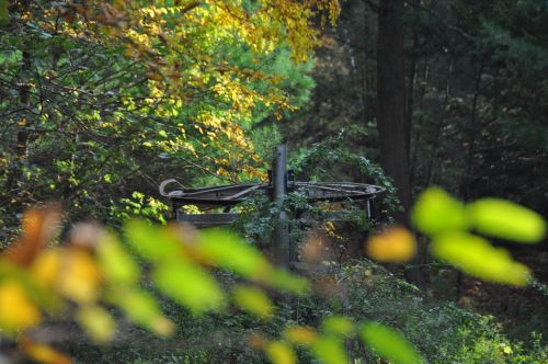 Und in der Ferne die [url=https://maps.google.ch/maps?q=Upper+Bungee+Lake,+USA&hl=de&ll=41.964085,-72.05482&spn=0.008935,0.021136&sll=46.362093,9.036255&sspn=4.245819,10.821533&oq=Upper+Bungee+Lake&t=h&hnear=Lake+Bungee&z=16]auch auf Google Maps gut sichtbare Talstation[/url] des Müller-Schleppliftes
