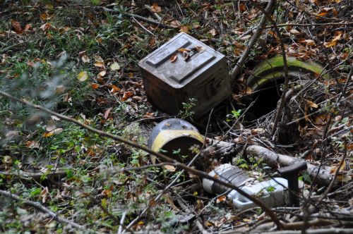 Alteisen im Wald
