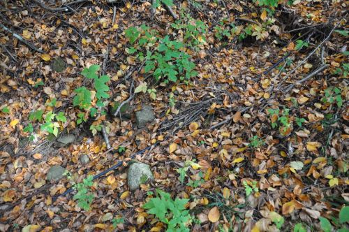11. Oktober 2013

