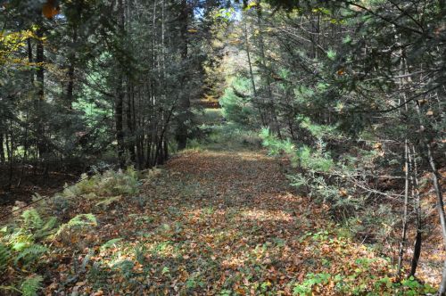 11. Oktober 2013
