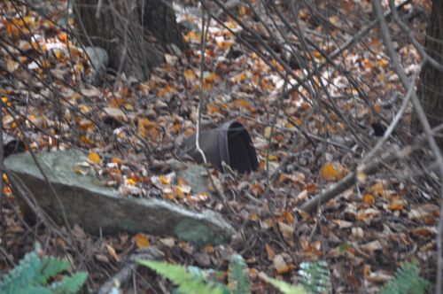 11. Oktober 2013
