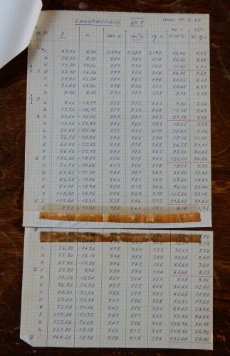 Resultate von Theo Brunners Vermessung auf der Lauchernalp vom 15.9.1964
