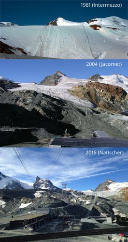 Vergleich Theodulgletscher 1981-2004-2016
