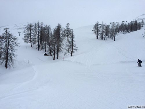 28. Februar 2015
