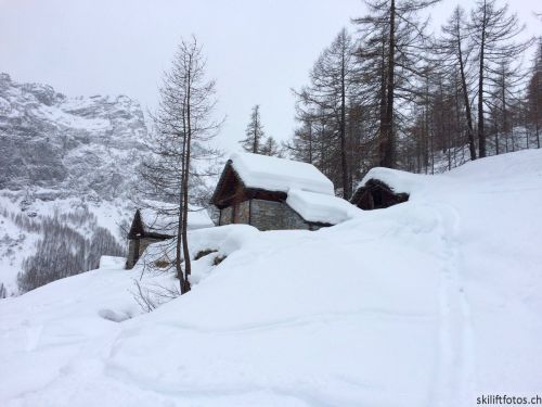 28. Februar 2015
