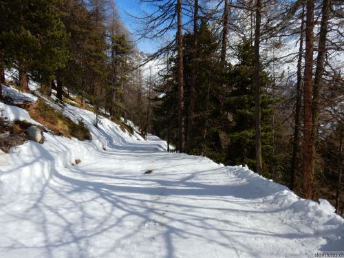 20220302-b-arolla-3299.jpg