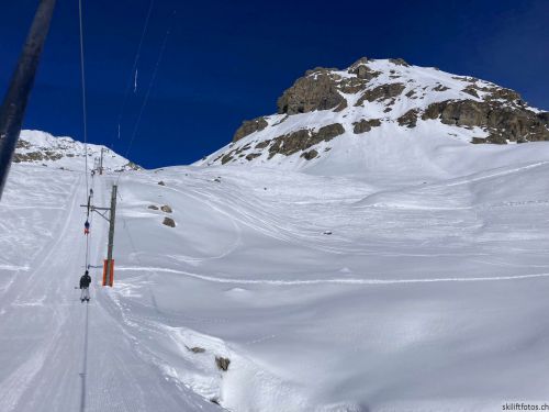 20220302-f-arolla-9691.jpg
