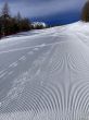 20220302-a-arolla-9654.jpg