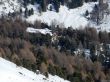 Dateiname=20220302-g-arolla-3428.jpg
Dateigröße=400KB
Abmessungen: 1700x1275
hinzugefügt am: 05. März 2022 20220302-g-arolla-3428.jpg